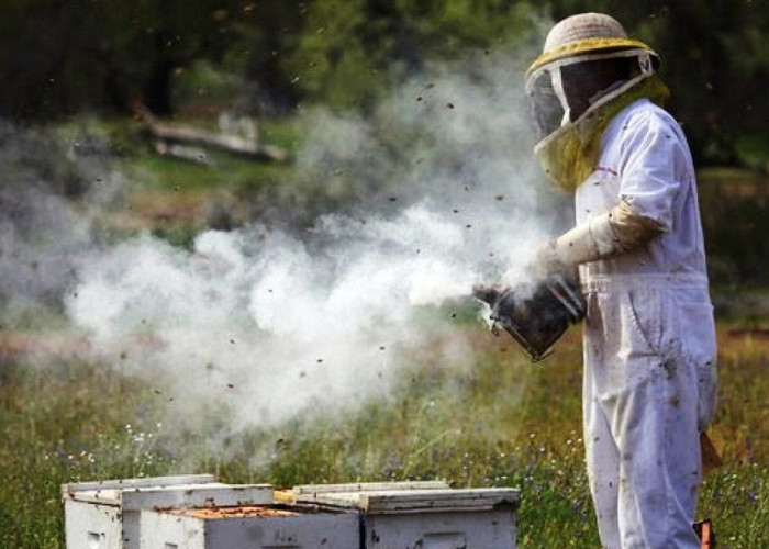 Λήψη προληπτικών μέτρων από μελισσοκόμους κατά την αντιπυρική περίοδο