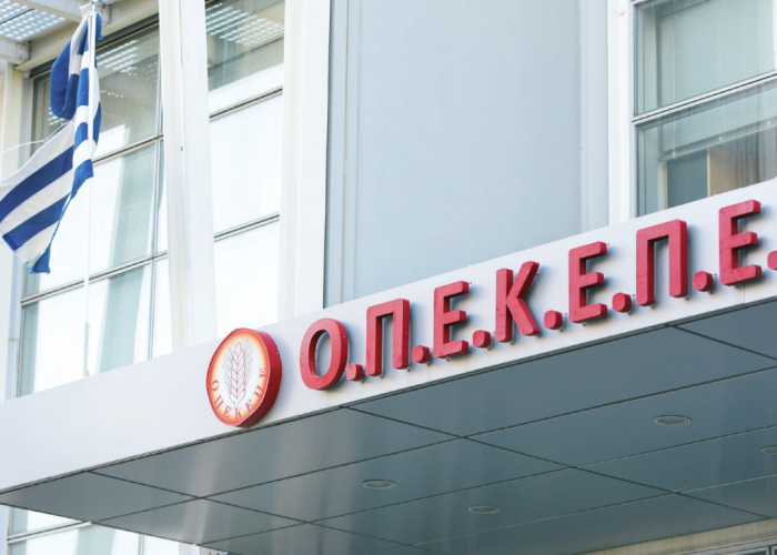 ΟΠΕΚΕΠΕ: 17 συλλήψεις από το ελληνικό FBI σε Θεσσαλονίκη, Κιλκίς, Σέρρες, Αθήνα