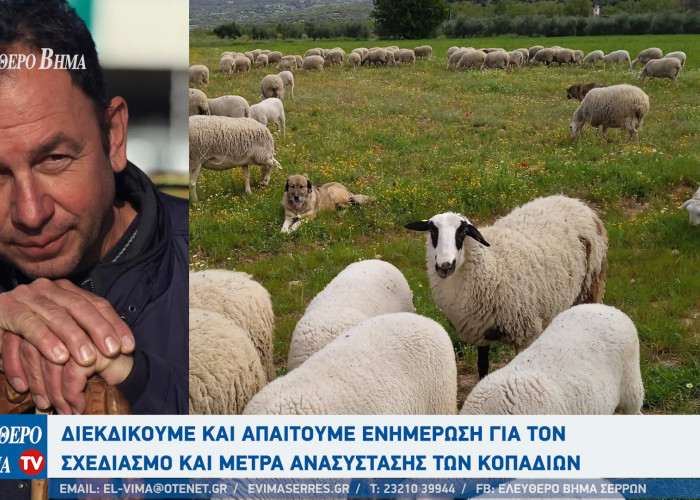 Σάκης Πίσιος - Σέρρες: Διεκδικούμε και απαιτούμε ενημέρωση για τον σχεδιασμό και μέτρα ανασύστασης των κοπαδιών
