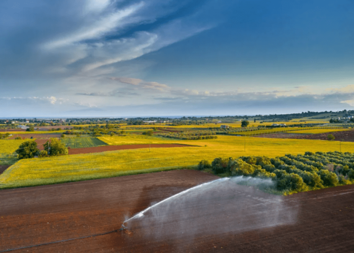 ΠΟΓΕΔΥ: Τι θα γίνει με το ταμείο γεωργίας και κτηνοτροφίας;