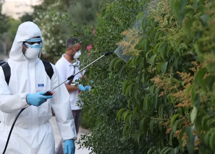 Ιός Δυτικού Νείλου: 42 περιστατικά στην Ελλάδα - Έντονη δραστηριότητα στην Αττική