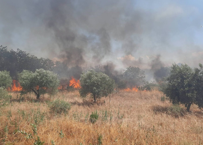 Οριοθετήθηκε η πυρκαγιά στην Οινούσσα