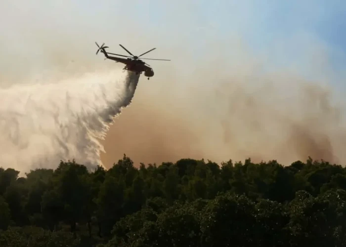 Φωτιά σε χαμηλή βλάστηση στο Κορωπί Αττικής - Ήχησε το 112