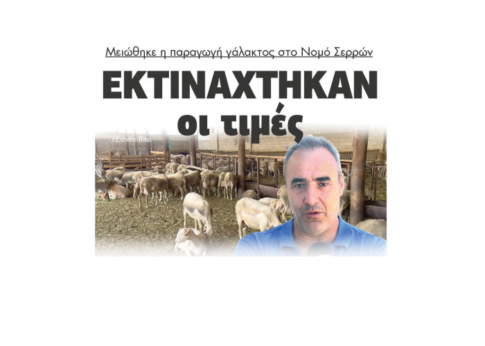 Μειώθηκε η παραγωγή γάλακτος στο Νομό Σερρών - Εκτινάχτηκαν οι τιμές