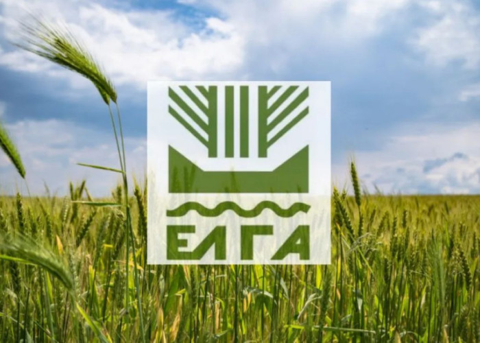 ΕΛΓΑ -1,2 εκατ. ευρώ σε 441 δικαιούχους για τις ζημιές από πυρκαγιές του 2022