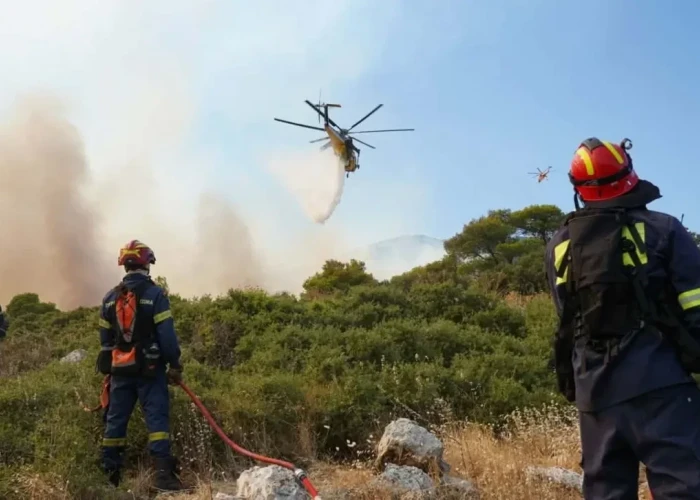 Φωτιά στη Βοιωτία: Καίγεται δάσος ανάμεσα σε Τσουκαλάδες και Άγιο Βλάσιο - Ενισχύθηκαν οι δυνάμεις