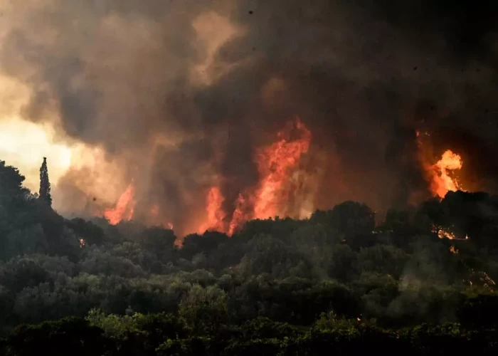 Η Ευρώπη στις φλόγες του κλιματικού χάους -Οι ΠΡΑΣΙΝΟΙ -Οικολογία ζητούν απεξάρτηση από τα ορυκτά καύσιμα