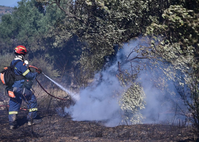 Έσβησε η φωτιά στο Ροδολίβος -Προσέχουμε για να έχουμε
