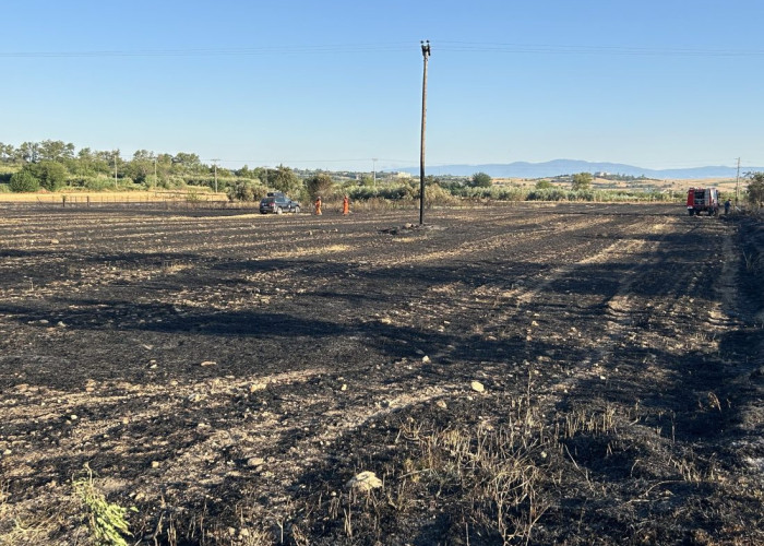 Σέρρες - Την Παρασκευή πήρε φωτιά η Οινούσσα - Καταδικάστηκε πολίτης για εκδήλωση πυρκαγιάς