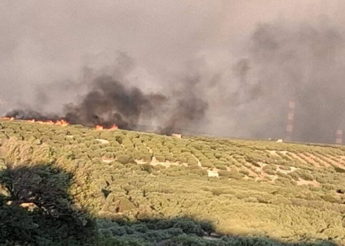 Κλιμάκιο της ΠΟΓΕΔΥ στις πυρόπληκτες περιοχές του Ρεθύμνου