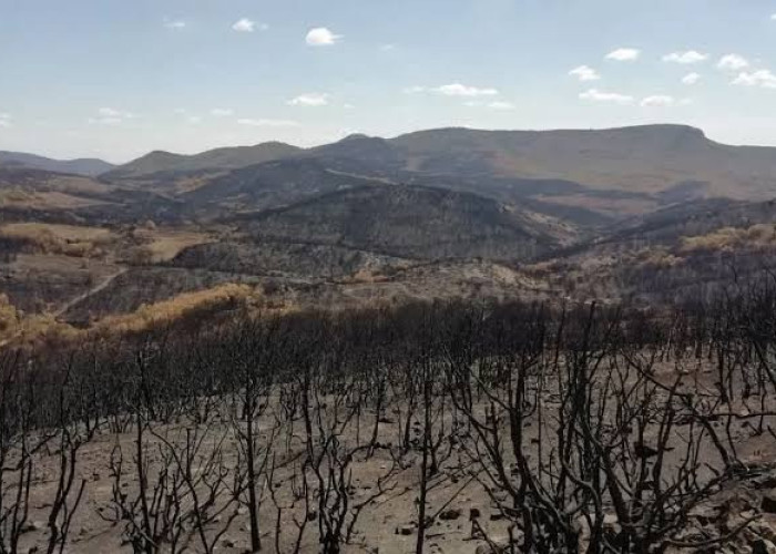 ΠΟΔΕΓΥ: Αλλαγή του συστήματος δασοπυρόσβεσης εδώ και τώρα