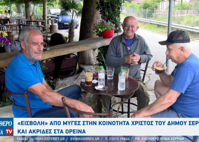 Χριστός - Σέρρες: Αγανακτισμένοι οι κάτοικοι από τις μύγες - Ξεκινάνε αυτή την εποχή και πάει μέχρι Νοέμβριο