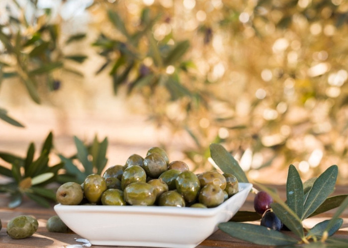 Παράταση εφαρμογής της υποχρεωτικής δήλωσης συγκομιδής ελαιοκάρπου