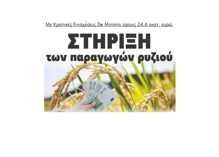 Στήριξη των παραγωγών ρυζιού με Κρατικές Ενισχύσεις De Minimis ύψους 24,6 εκατ. ευρώ