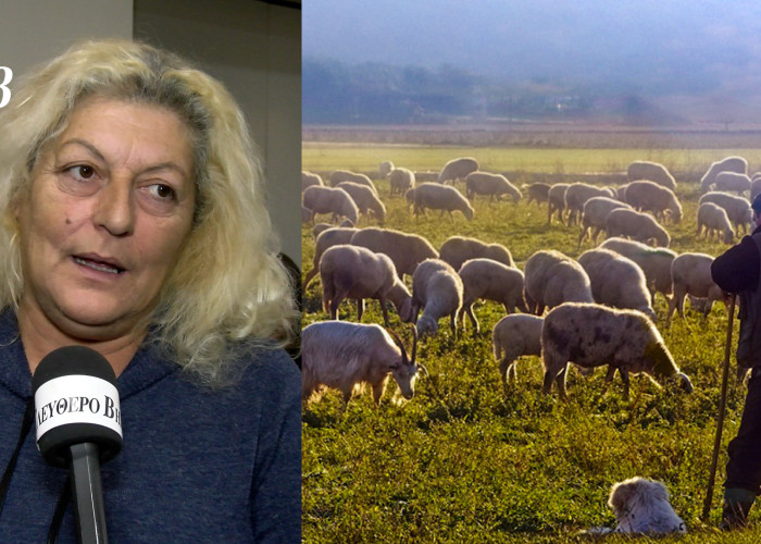 Ελπίδα Σιδηροπούλου: "Τεράστια κρίση καταστροφής της ελληνικής κτηνοτροφίας και περιφέρειας"