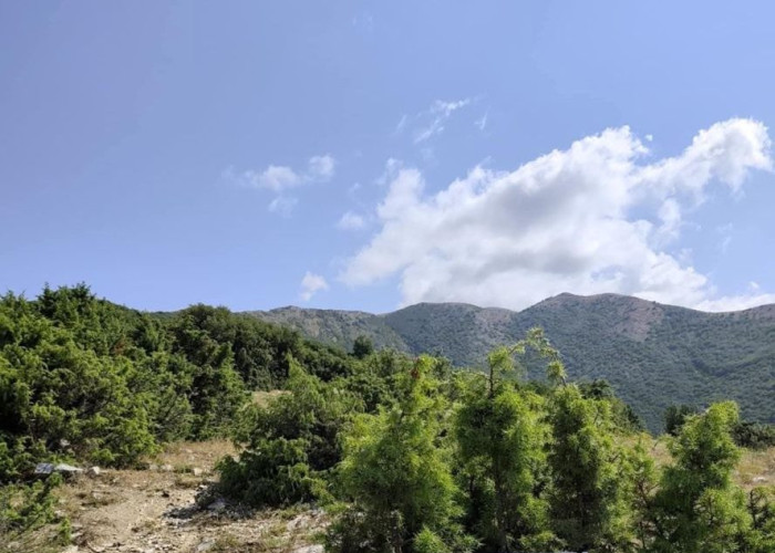 Πρωτοβουλία πολιτών και φορέων για τη Διάσωση του Μενοικίου: Καταθέσαμε έγκαιρα προσφυγή στο ΣτΕ πριν τη λήξη της προθεσμίας.