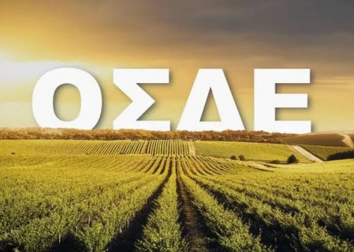 ΥΠΑΑΤ: Χωρίς πρόσθετες υποχρεώσεις για τους αγρότες το ΟΣΔΕ 2026 - Από το 2027 η υποχρεωτική εγγραφή στο ΜΑΑΕ