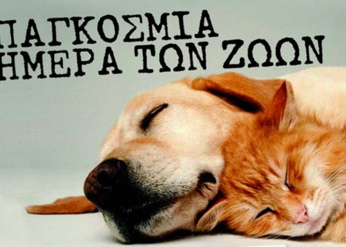 Μήνυμα Αρχηγού Ελληνικής Αστυνομίας για την Παγκόσμια Ημέρα των Ζώων