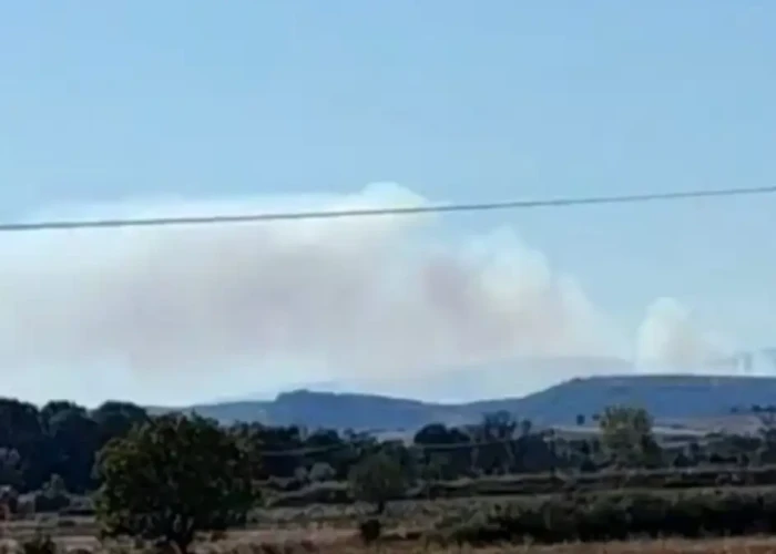 Σουφλί: Πέρασε στην Ελλάδα η μεγάλη φωτιά από τη Βουλγαρία – Ισχυρές δυνάμεις στα σύνορα
