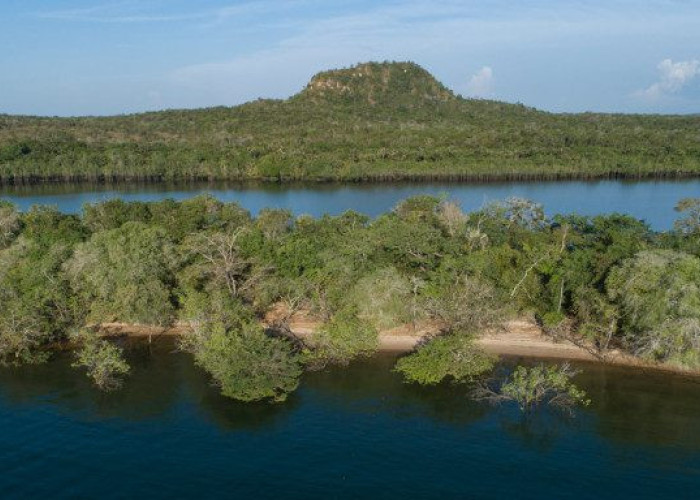 Βραζιλία: Η αποψίλωση του Αμαζονίου έφτασε το 2020 στο υψηλότερο επίπεδό της εδώ και 12 χρόνια