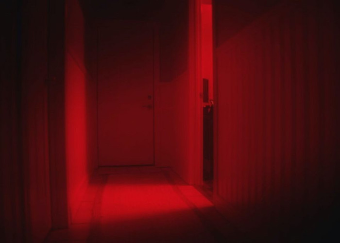 Οίκος ανοχής μετατρέπεται σε εμβολιαστικό κέντρο στη Βιέννη – Τι λέει ο Έλληνας ιδιοκτήτης του