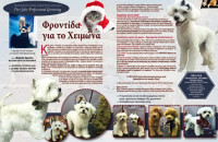 TRES JOLIE-PROFESSIONAL GROOMING: ΦΡΟΝΤΙΔΑ ΓΙΑ ΤΟΝ ΣΚΥΛΟ ΚΑΙ ΤΗ ΓΑΤΑ ΤΟ ΧΕΙΜΩΝΑ!