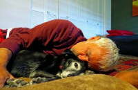 Η ΑΠΩΛΕΙΑ ΕΝΟΣ ΣΚΥΛΟΥ ΠΛΗΓΩΝΕΙ ΟΣΟ Η ΑΠΩΛΕΙΑ ΕΝΟΣ ΑΓΑΠΗΜΕΝΟΥ ΑΝΘΡΩΠΟΥ ΣΥΜΦΩΝΑ ΜΕ ΕΡΕΥΝΑ!