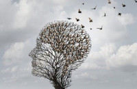 Η ΑΠΛΗ ΣΥΝΗΘΕΙΑ ΠΟΥ ΜΠΟΡΕΙ ΝΑ ΣΕ ΠΡΟΣΤΑΤΕΨΕΙ ΑΠΟ ΤΗΝ ΑΝΟΙΑ!