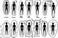 Η ΕΝΕΡΓΕΙΑ ΔΕΝ ΛΕΕΙ ΠΟΤΕ ΨΕΜΑΤΑ – Ο ΤΡΟΠΟΣ ΓΙΑ ΝΑ ΔΙΑΒΑΖΕΤΕ ΤΗΝ ΕΝΕΡΓΕΙΑ ΑΛΛΩΝ ΑΝΘΡΩΠΩΝ!