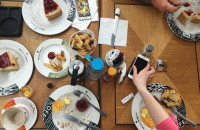 ΠΟΣΑ ΚΙΛΑ ΘΑ ΧΑΣΕΙΣ ΣΕ ΕΝΑ ΧΡΟΝΟ ΑΝ ΚΑΙΣ ΚΑΘΗΜΕΡΙΝΑ 100 ΘΕΡΜΙΔΕΣ ΠΑΡΑΠΑΝΩ;