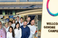 ΘΕΡΑΠΕΙΑ ΛΕΥΧΑΙΜΙΑΣ ΜΕ ΚΟΛΛΥΡΙΟ ΠΟΥ ΑΝΑΚΑΛΥΨΕ Η ΕΛΛΗΝΙΚΗ DREAM TEAM TOY CAMBRIGDE!