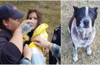 ΜΑΞ: Ο ΣΚΥΛΟΣ «ΗΡΩΑΣ» ΠΟΥ ΕΣΩΣΕ ΕΝΑ ΤΡΙΧΡΟΝΟ ΚΟΡΙΤΣΑΚΙ!