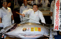 IΔΙΟΚΤΗΤΗΣ ΑΛΥΣΙΔΑΣ ΕΣΤΙΑΤΟΡΙΩΝ ΣΟΥΣΙ ΣΤΟ ΤΟΚΙΟ ΑΓΟΡΑΣΕ ΕΝΑΝ ΤΟΝΟ ΑΝΤΙ 2,7 ΕΚΑΤ. ΕΥΡΩ!