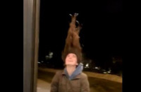 Πολικό ψύχος στις ΗΠΑ: Δείτε πώς κατέληξε γυναίκα που βγήκε με βρεγμένο κεφάλι στο κρύο!