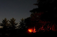 Ποιο ζώο ευθύνεται για 725.000 θανάτους ανθρώπων κάθε χρόνο