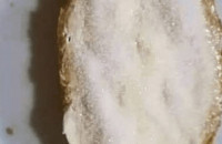 Ψωμί με ζάχαρη – Το θυμάστε;