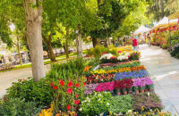 18η Ανθοκομική Έκθεση Σερρών: Πλημμύρισε με χρώματα και αρώματα η Πλατεία Ελευθερίας