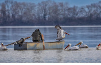 Από την 1η Απριλίου εως τις 20 Μαίου: Απαγορεύεται το ψάρεμα σε Κερκίνη, χειμάρρους και ποτάμια