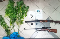 Σε σπίτι στην Ασπροβάλτα: Βρέθηκε μικρή φυτεία ινδικής κάνναβης