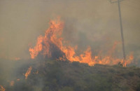 Πρέπει να αυστηροποιηθεί ο νόμος  για τους εμπρησμούς- Γράφει ο Γιώργος Βεζυργιαννίδης