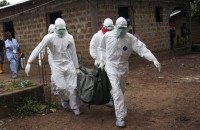 Ευλογιά των πιθήκων: Παγκόσμιο συναγερμό κήρυξε ο ΠΟΥ