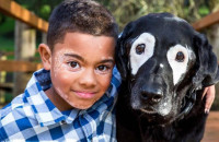 Η ιστορία του αγοριού και του σκύλου που έχουν και οι 2 λεύκη