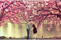 Ο υπέροχος μύθος της Αμυγδαλιάς που εξηγεί γιατί η αγάπη δεν μπορεί να νικηθεί ποτέ από τον θάνατο