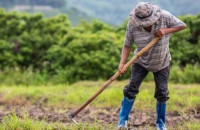 Έρευνα Διάρθρωσης Γεωργικών και Κτηνοτροφικών Εκμεταλλεύσεων 2023 από την ΕΛΣΤΑΤ