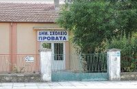 Πτώση σοβάδων στο Δημοτικό Σχολείο Προβατά