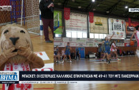 Σε ένα συναρπαστικό παιχνίδι οι Εσπερίδες Καλλιθέας επικράτησαν με 49-41 του ΜΓΣ Πανσερραϊκός