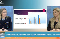 Ενδοοικογενειακή βία: 247 υποθέσεις και 156 συλλήψεις για το 2024 στις Σέρρες