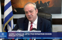 Ιωάννης Καραβασίλης: Ίδρυση τριών Πειραματικών Σχολικών Μονάδων στις Σέρρες