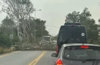 Κρήτη: Προβλήματα λόγω σφοδρών ανέμων – Έπεσαν δέντρα και στύλοι