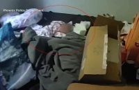 Αριζόνα: Νεογέννητο βρέφος βρέθηκε ζωντανό δίπλα στην από μέρες νεκρή μητέρα του (βίντεο)